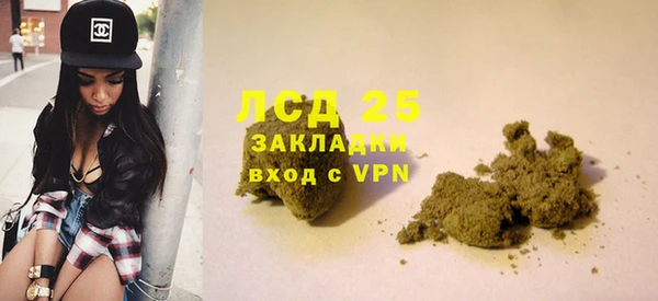 ГАЛЛЮЦИНОГЕННЫЕ ГРИБЫ Баксан