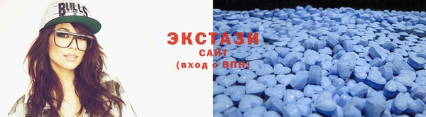 гидра Кодинск