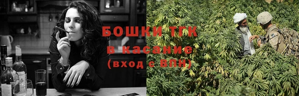 сатива Каменка