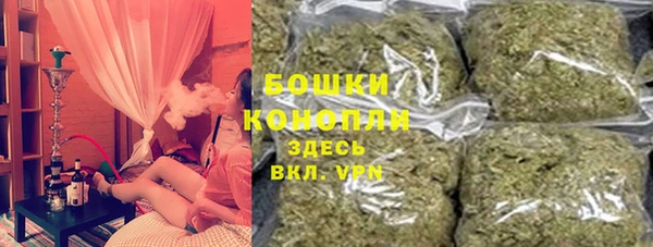 гидра Белоозёрский
