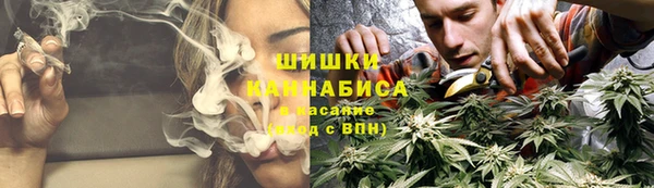 PSILOCYBIN Козельск