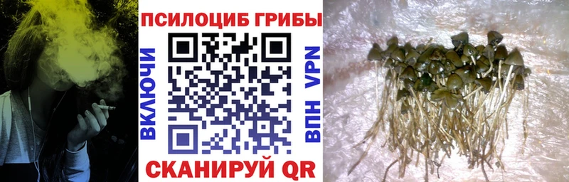 blacksprut   Высоковск  Галлюциногенные грибы ЛСД 